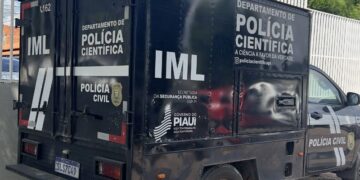 Homem morre após ser atingido por árvore no interior do Piauí