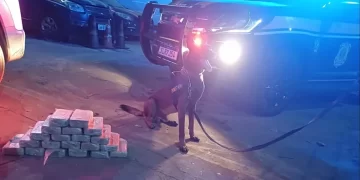 Homem é preso com 20 kg de cocaína escondida em fundos falsos de veículo em Altos