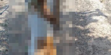 Homem mata cachorro para se vingar da própria mulher em Piripiri