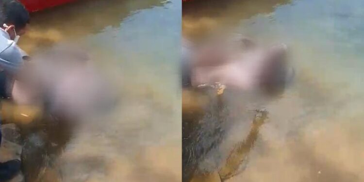 Homem é encontrado morto às margens do rio Parnaíba em Teresina