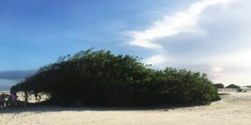 Piauí enfrentará outubro com temperaturas acima da média, diz Inmet