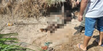 Corpo de homem é encontrado na estrada vicinal entre José de Freitas e Lagoa Alegre