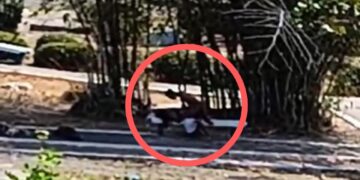 Casal é preso por praticar sexo em praça pública em Buriti dos Lopes