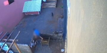 Menino de nove anos invade hospital veterinário e mata 23 animais