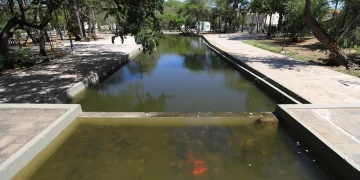 Corpo de homem é encontrado dentro de fonte na Praça da Cepisa em Teresina