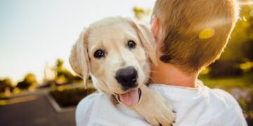 Sancionada lei que proíbe corte de caudas e orelhas de animais em Teresina