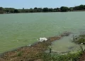 Mulher é encontrada morta dentro de açude no município de Água Branca