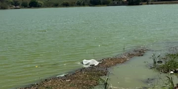 Mulher é encontrada morta dentro de açude no município de Água Branca