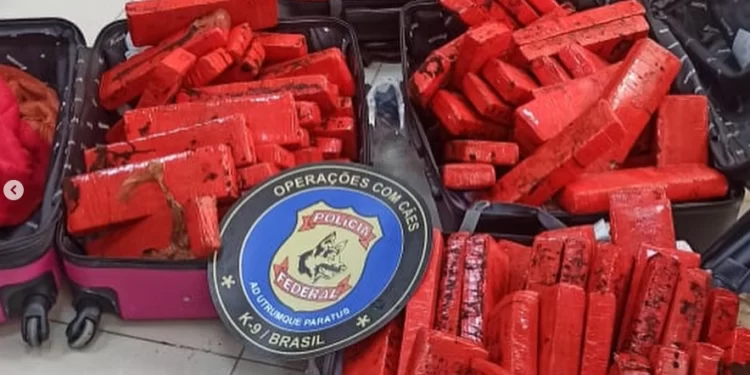 Mulheres são presas com mais de 80 kg de maconha no Aeroporto de Fortaleza