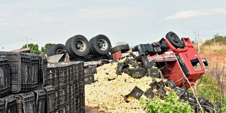 Caminhão carregado de goiabas tomba na BR-407 em município no Piauí