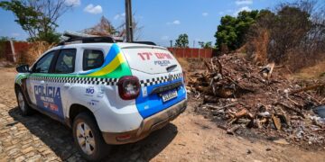 Corpo carbonizado de mulher é encontrado em lixão na zona Sul de Teresina