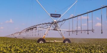 Baixa Grande do Ribeiro e Uruçuí, no Piauí, estão entre os 50 maiores produtores de grãos do Brasil