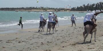 Prefeitura de Cajueiro da Praia cancela corrida de jegues após pressão de ambientalistas