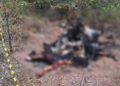 Dois corpos carbonizados são encontrados em fazenda no Piauí