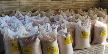 Dr. Osael fez a entrega de 2.000 kg de sementes de milho e feijão aos agricultores de Lagoa Alegre