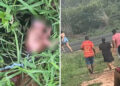 Recém-nascida é encontrada em matagal em Dom Expedito Lopes