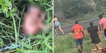 Recém-nascida é encontrada em matagal em Dom Expedito Lopes