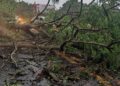 Chuva com forte vento causa destruição na PI-113 e trânsito ficou bloqueado por algumas horas