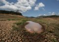 Governo do Piauí decreta emergência em 82 cidades devido à seca