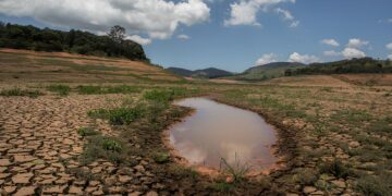 Governo do Piauí decreta emergência em 82 cidades devido à seca