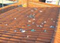 Homem encontra dezenas de sacolas com fezes humanas no teto de casa no Piauí