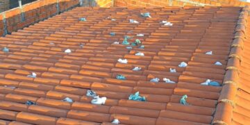 Homem encontra dezenas de sacolas com fezes humanas no teto de casa no Piauí