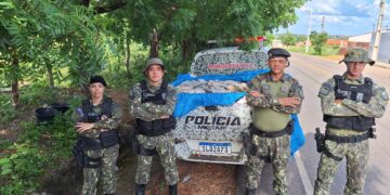 Polícia Ambiental apreende 500 kg de peixes transportados ilegalmente no Sul do Piauí
