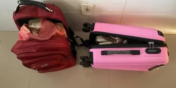 Mulher que transportava drogas para o Piauí é presa durante abordagem a ônibus na Bahia