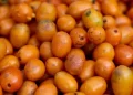 Homem passa mal e morre depois de engolir 100 caroços de seriguela