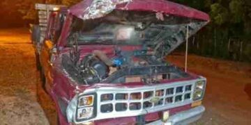 Búfalos causam prejuízos após provocar dois acidentes em José de Freitas