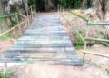 Moradores improvisam ponte de madeira sobre riacho na zona rural de José de Freitas