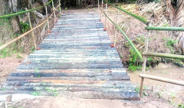Moradores improvisam ponte de madeira sobre riacho na zona rural de José de Freitas