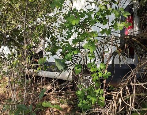 Veículo do Mercado Livre que fazia entrega sofre acidente na PI-113 em José de Freitas