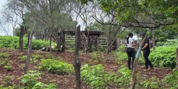 Empresário morre eletrocutado junto com vaca em curral no município de Picos