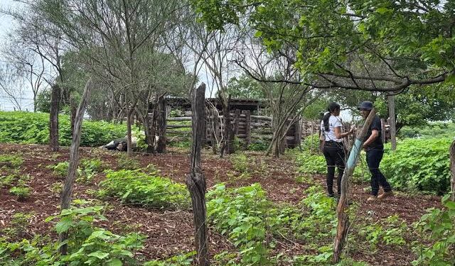 Empresário morre eletrocutado junto com vaca em curral no município de Picos