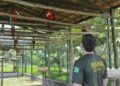 Inscrições para concurso do IBAMA com vagas para o Piauí encerram nesta terça(18)