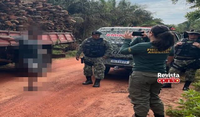 Polícia ambiental fecha carvoaria e apreende caminhão carregado com madeira ilegal em José de Freitas