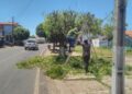 Prefeitura de Cabeceiras impulsiona transformações para uma cidade mais verde e organizada