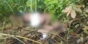 Corpo é encontrado com marcas de agressão e parcialmente carbonizado em Teresina