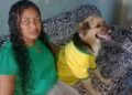 Cachorro morre após ser baleado no interior do Piauí