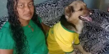 Cachorro morre após ser baleado no interior do Piauí