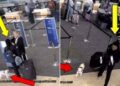 Mulher afoga cachorro em banheiro de aeroporto após pet ter embarque negado