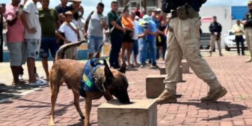 PRF realiza palestra sobre combate às drogas na Câmara Municipal de Lagoa Alegre com a presença do prefeito Dr. Osael
