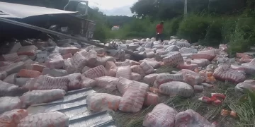 Caminhão carregado de arroz e flocos de milho tomba na PI-112, em direção à União