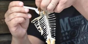 Homem morre após engasgar com peixe e engolir pedra para tentar retirar espinha