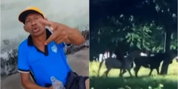 Homem morre após ser pisoteado por cavalos na zona Norte de Teresina