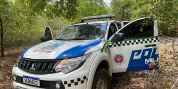 Irmãos são esfaqueados durante briga entre vizinhos em município no Piauí