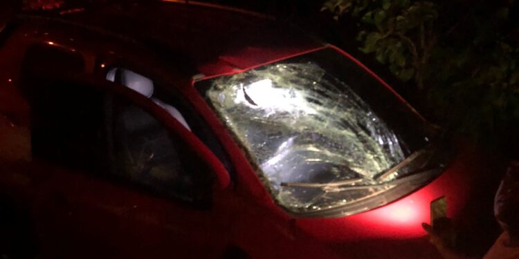 Carro fica destruído após colisão com cavalo na PI-366, em José de Freitas