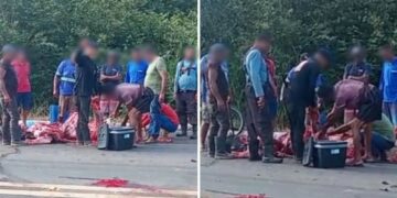 Vaca morre atropelada na estrada de Altos e carne é saqueada por populares