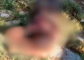 Homem é encontrado morto com ferimentos na cabeça em via pública de Parnaíba